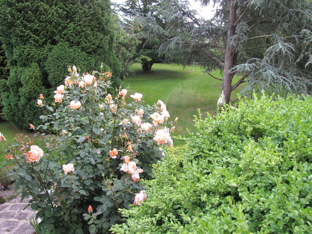 Gîte Brocéliande Baulon Cameră foto